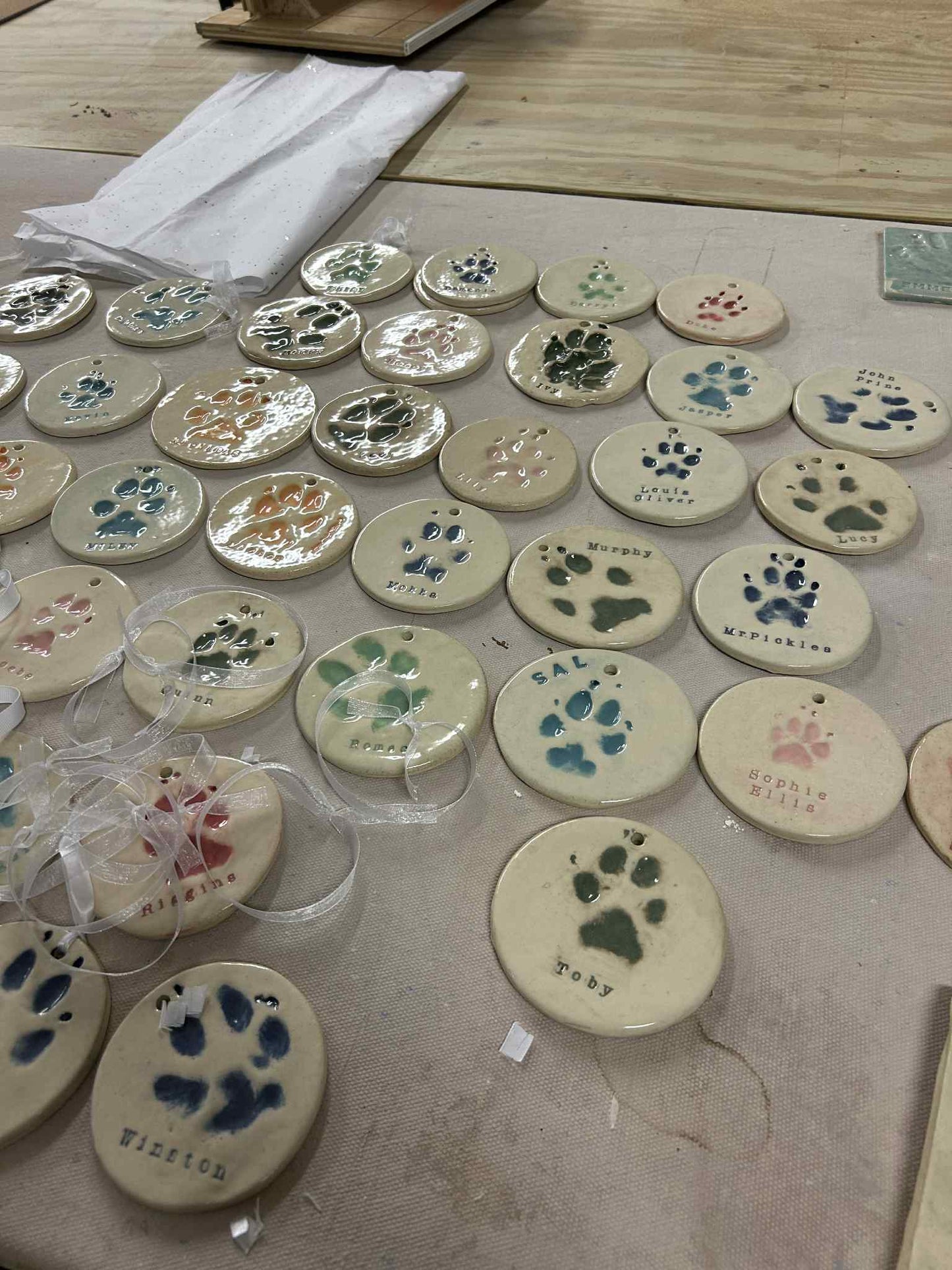 Paw Prints